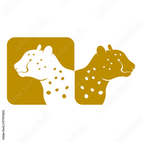 Cheetah Logo