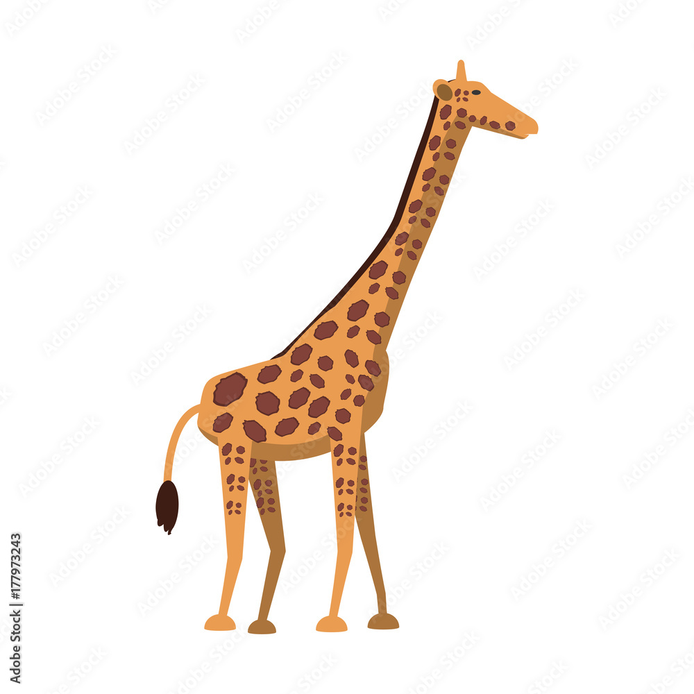 Fototapeta premium giraffe vector illustration