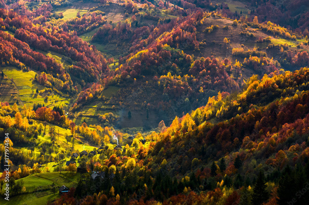 village in a valley down the hill among forest. beautiful autumn scenery in mountains.