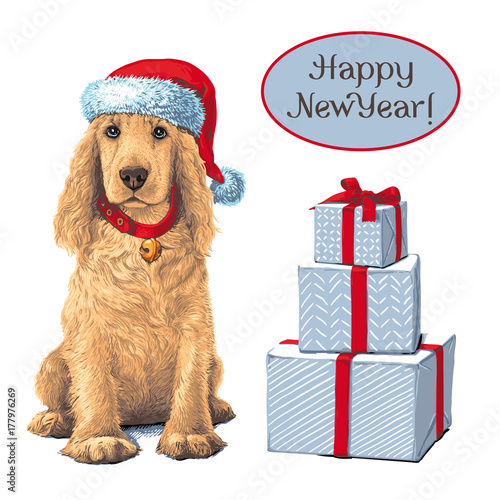 Dog sitting іn Santa hat next to gift 