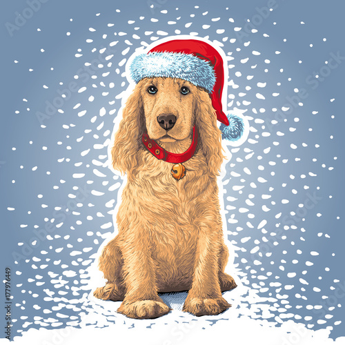 Dog sitting іn Santa hat