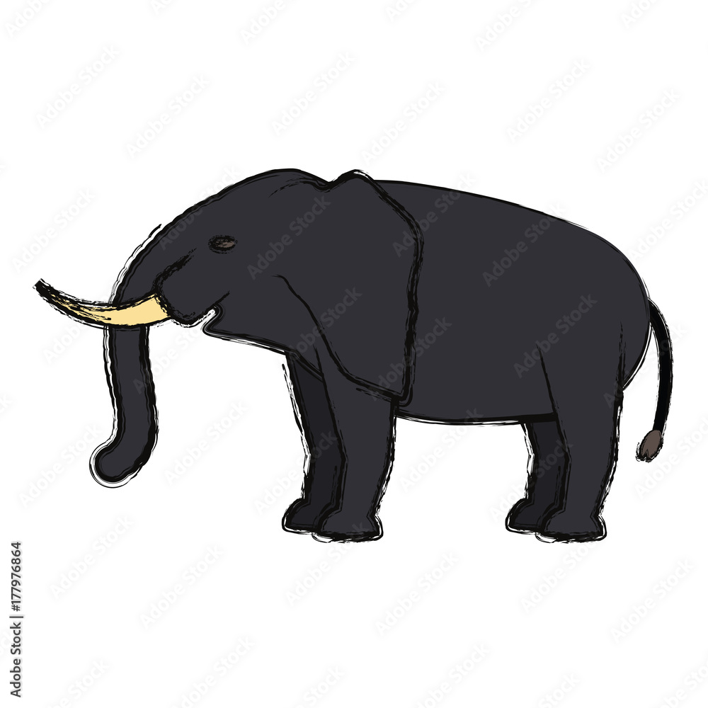 Obraz premium elephant vector illustration