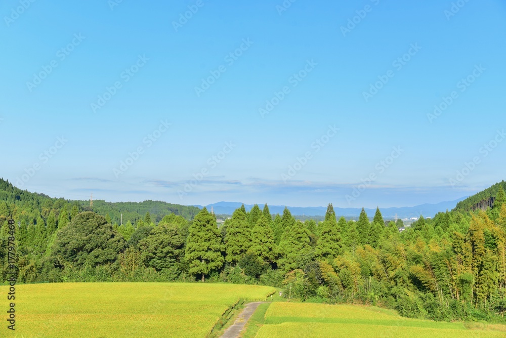 Peaceful Countryside Scenery in Miyakonojo, Japan