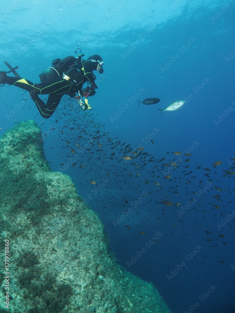 Fototapeta premium Scuba Diving Malta