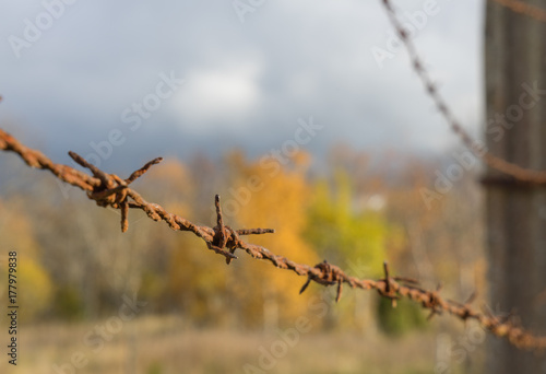 Barbed wire background © photoexpert