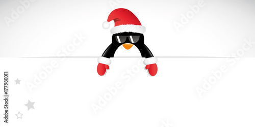 weihnachts pinguin mit sonnenbrille banner