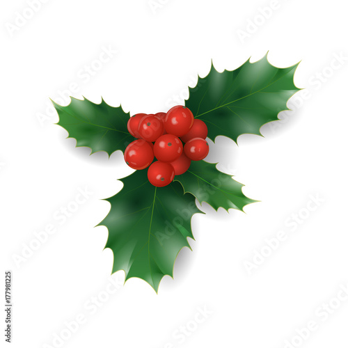 Holly branch with red berries Christmas symbol. Holiday traditional decoration New Year wreath part green leaves. Isolated on white realistic 3d vector illustration