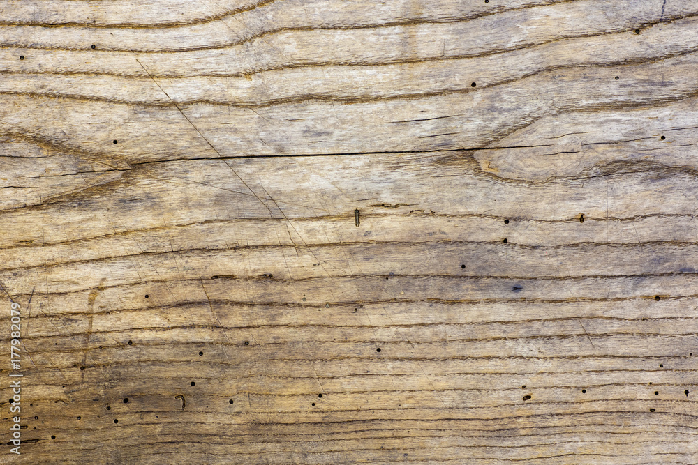 Photo of old oak wood texture with grooves and holes from the worm Photo of old oak wood texture with grooves and holes from the worm