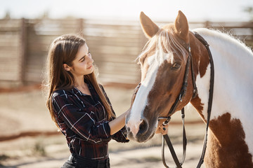 Young female barn manager taking care and talking to a young stallion preparing for a ride.
