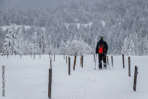 Snowshoe hiker on a fence post path defying a snow storm nearby the Hohneck in the Vosges.  photo