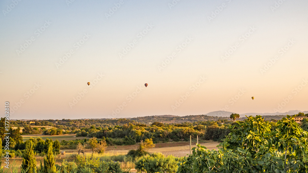 Obraz premium Hot air balloons
