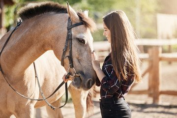 Young female horse farm manager caring and petting young stallion. Dream career taking care about animals.