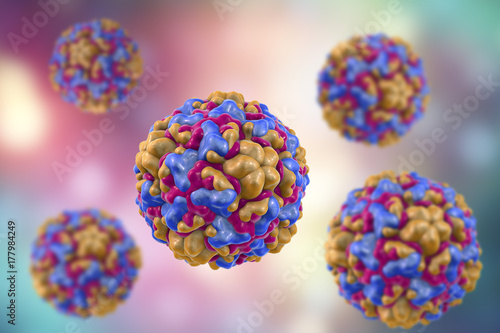 Rhinoviruses, viruses cause common cold and rhinitis. 3D illustration