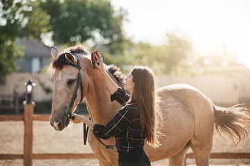 Female stalliong manager taking care and brushing a new horse on the animal farm.