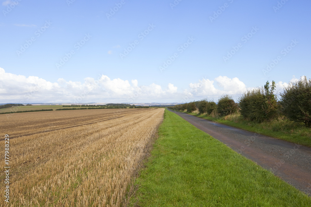 farm track and wheat stubble