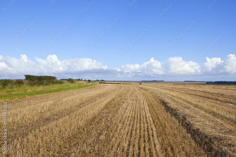 autumn bridleway and stubble field