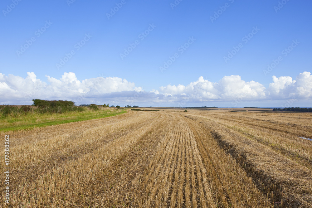 autumn bridleway and stubble field autumn bridleway and stubble field