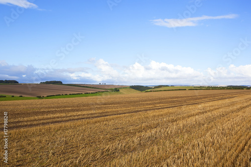 autumn agriculture