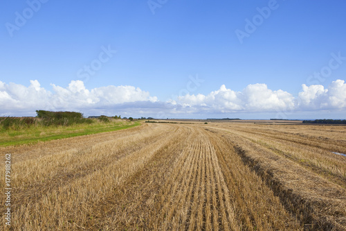 autumn bridleway and stubble field