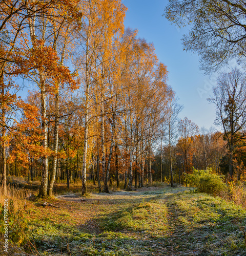 Golden autumn