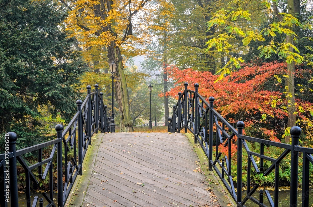 Colorful autumn landscape. Beautiful bridge in a city park. Colorful autumn landscape. Beautiful bridge in a city park.
