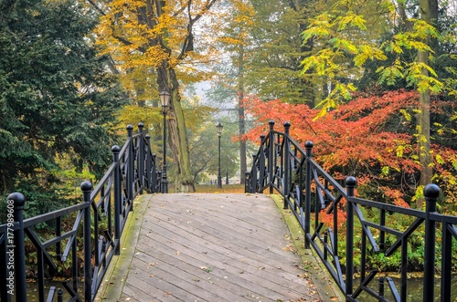 Colorful autumn landscape. Beautiful bridge in a city park.