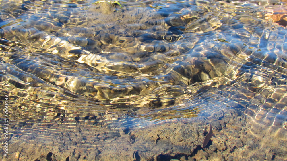 Obraz premium Shallow waters