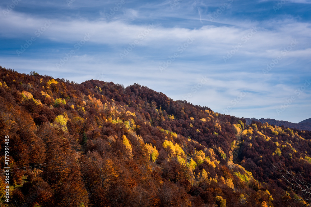 Fototapeta premium Colorful autumn landscape on a mountain