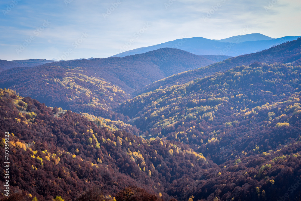 Colorful autumn landscape on a mountain Colorful autumn landscape on a mountain