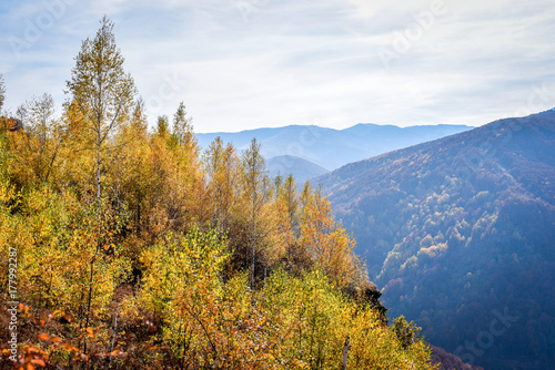 Colorful autumn landscape on a mountain