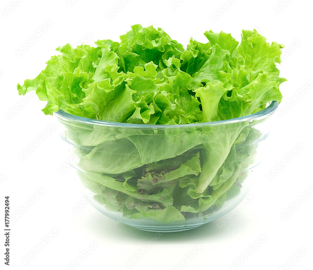 Salad Salad