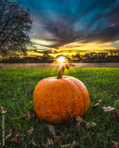Pumpkin on Grass with Leaves and Sunset