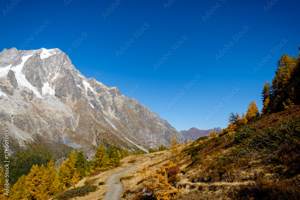 View of mountain peaks and pine tree forests in Val Ferret, Aosta Valley, Italy View of mountain peaks and pine tree forests in Val Ferret, Aosta Valley, Italy