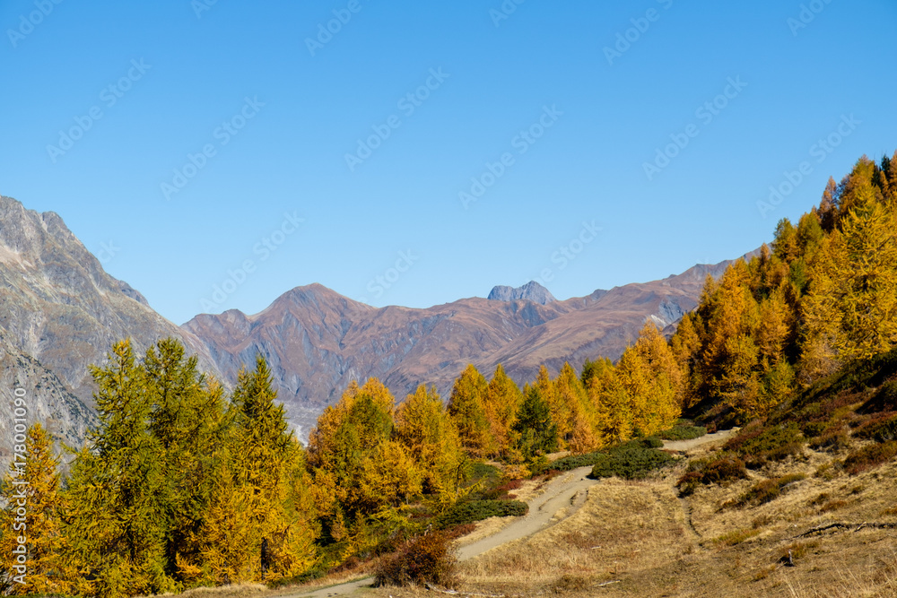View of mountain peaks, valleys and pine tree forests in Val Ferret, Aosta Valley, Italy View of mountain peaks, valleys and pine tree forests in Val Ferret, Aosta Valley, Italy