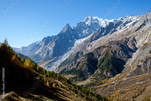 View of mountain peaks  of the Mont Blanc massif and coniferous forests in autumn  Val Ferret  Aosta valley  Italy
