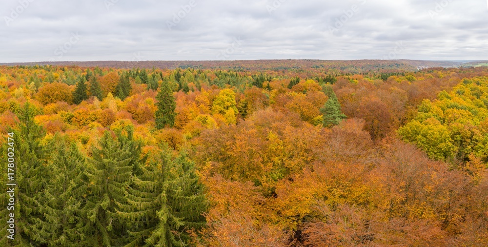 panoramic view over autumn forest in germany