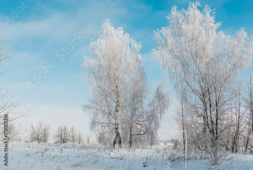 winter landscapes