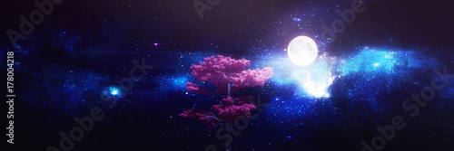 Night sky abstract  background with tree silhouette 