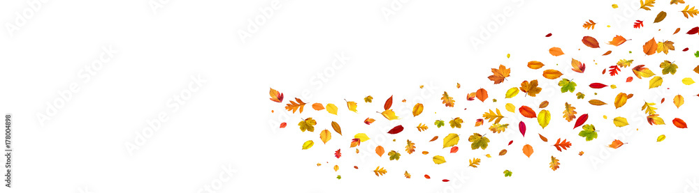 Goldener Herbst auf weissem Hintergrund Goldener Herbst auf weissem Hintergrund