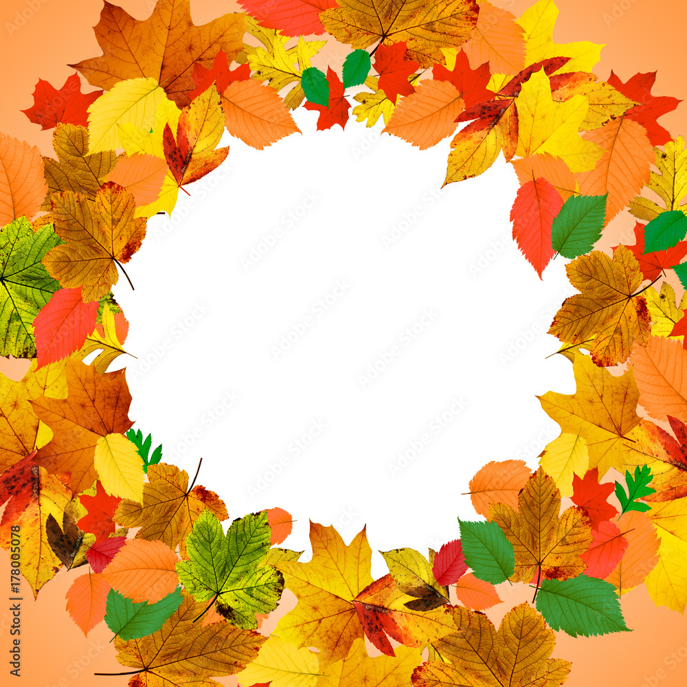 Goldener Herbst auf weissem Hintergrund Goldener Herbst auf weissem Hintergrund
