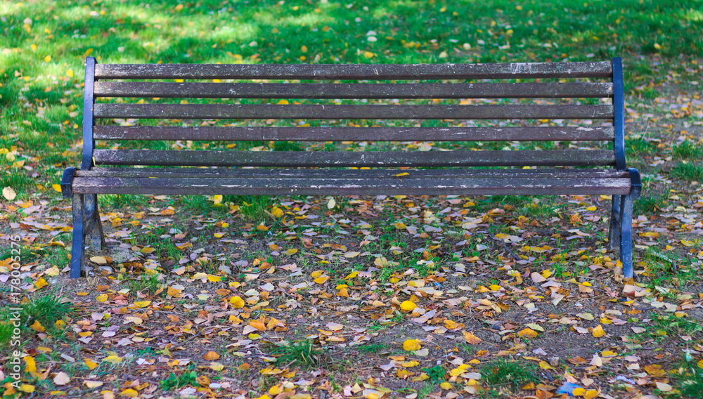 Isolated bench in the park (Pesaro, Italy) Isolated bench in the park (Pesaro, Italy)