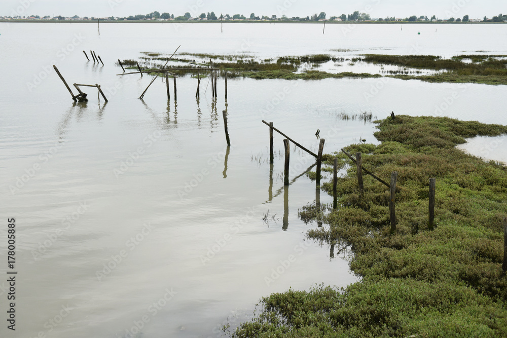 Vendée, le fleuve le Lay au site naturel protégé de la pointe d'Arçay à
