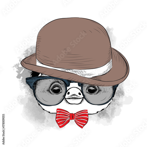 Image Portrait of cartoon penguin in a hat, cravat and glasses. Vector illustration.
