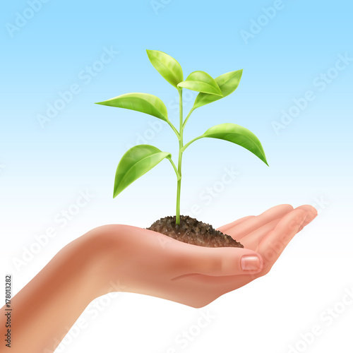 Plant in hand
