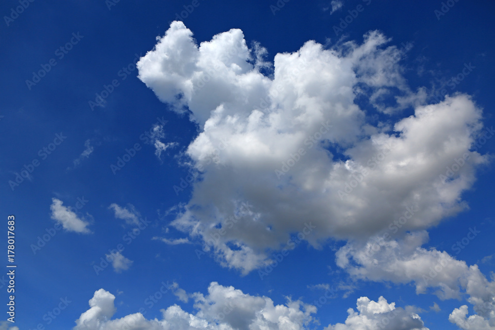 Cloud on the blue sky background. Cloud on the blue sky background.