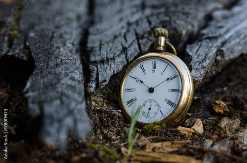 Wallpaper Mural Relentless and Unstoppable Passage of Time Torontodigital.ca