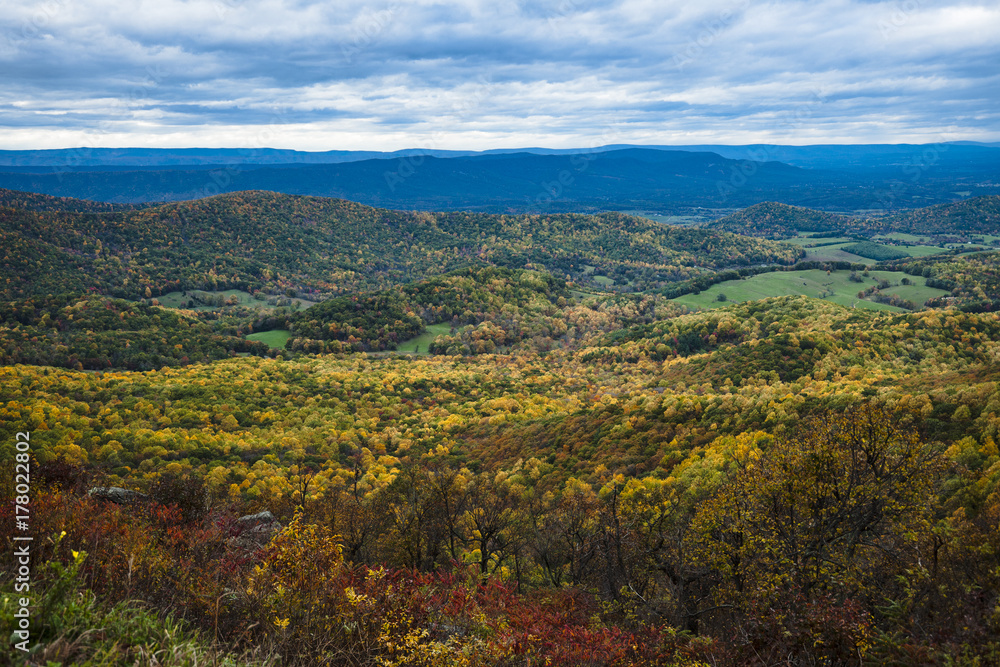 Fototapeta premium Shenandoah Valley in Autumn