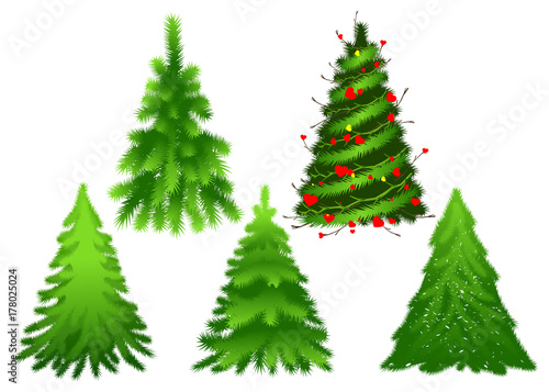 Set green Christmas fir pine tree © orensila