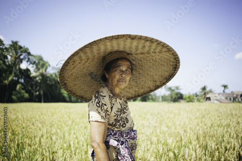 Portait of an asian woman standing in the rice fields. photo