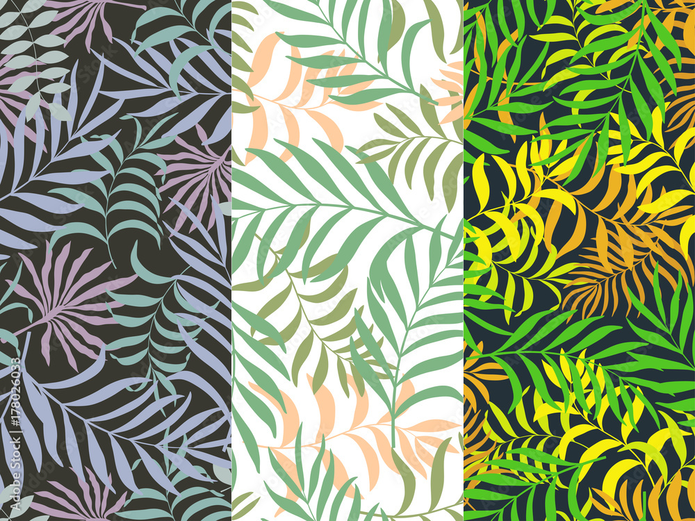 Set of three seamless floral pattern. Tropical background with palm leaves Set of three seamless floral pattern. Tropical background with palm leaves